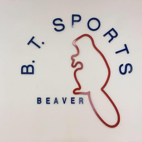 company logo