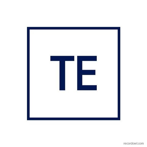 TERRENUS ENERGY ASSETS CHINA PTE. LTD. Logo