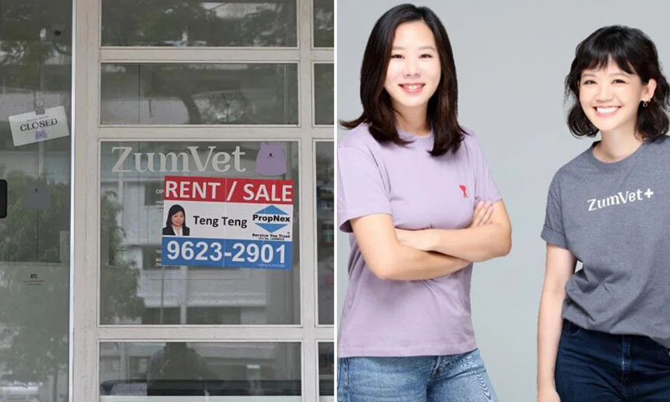 ZumVet Shuts Down Without Notice as Pet Owners Face Ongoing Subscription Charges
